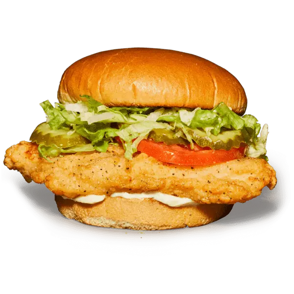 Home Style Chicken