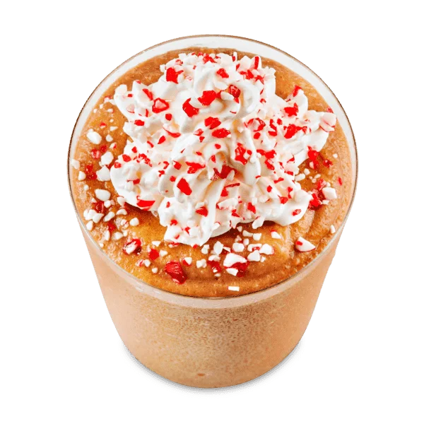 Frozen Peppermint Mocha Regular Drink